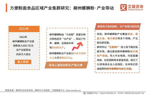2023-2024年中國方便粉面食品行業(yè)發(fā)展研究報告